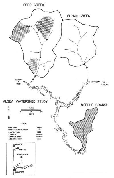 alsea_watershed