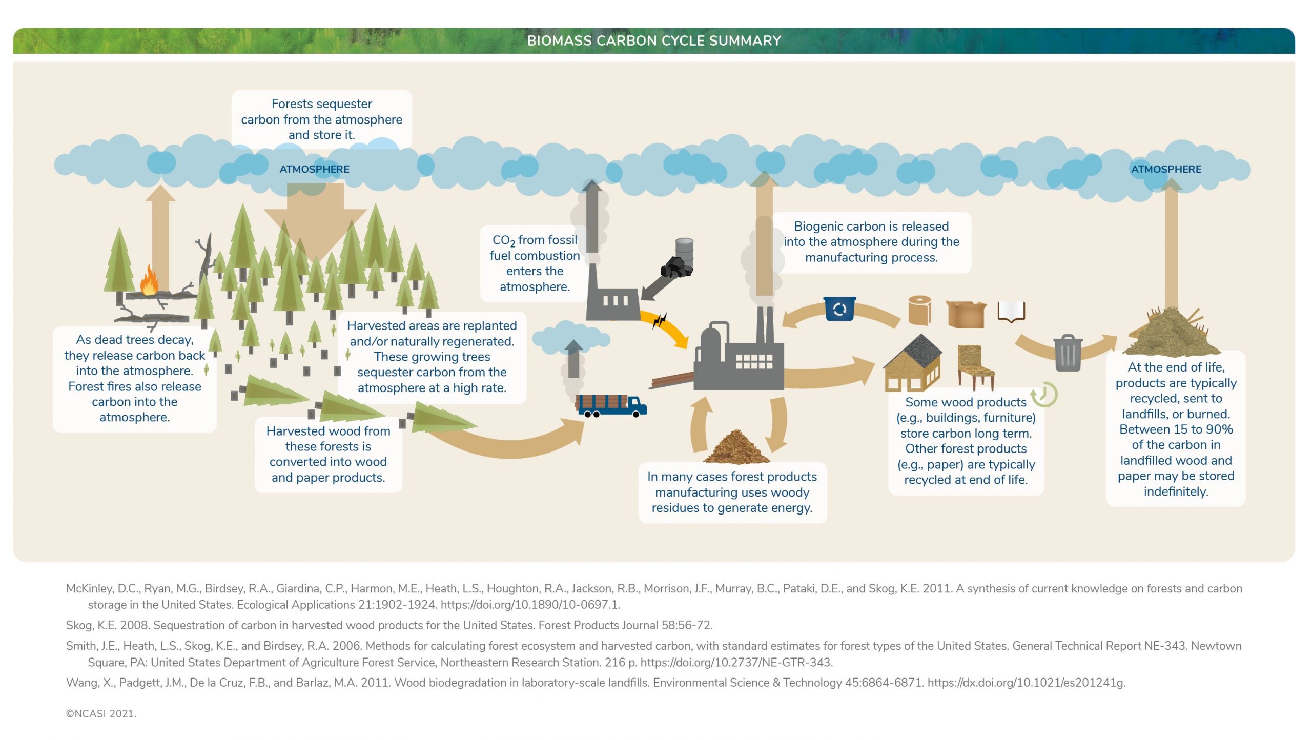 biomass essay