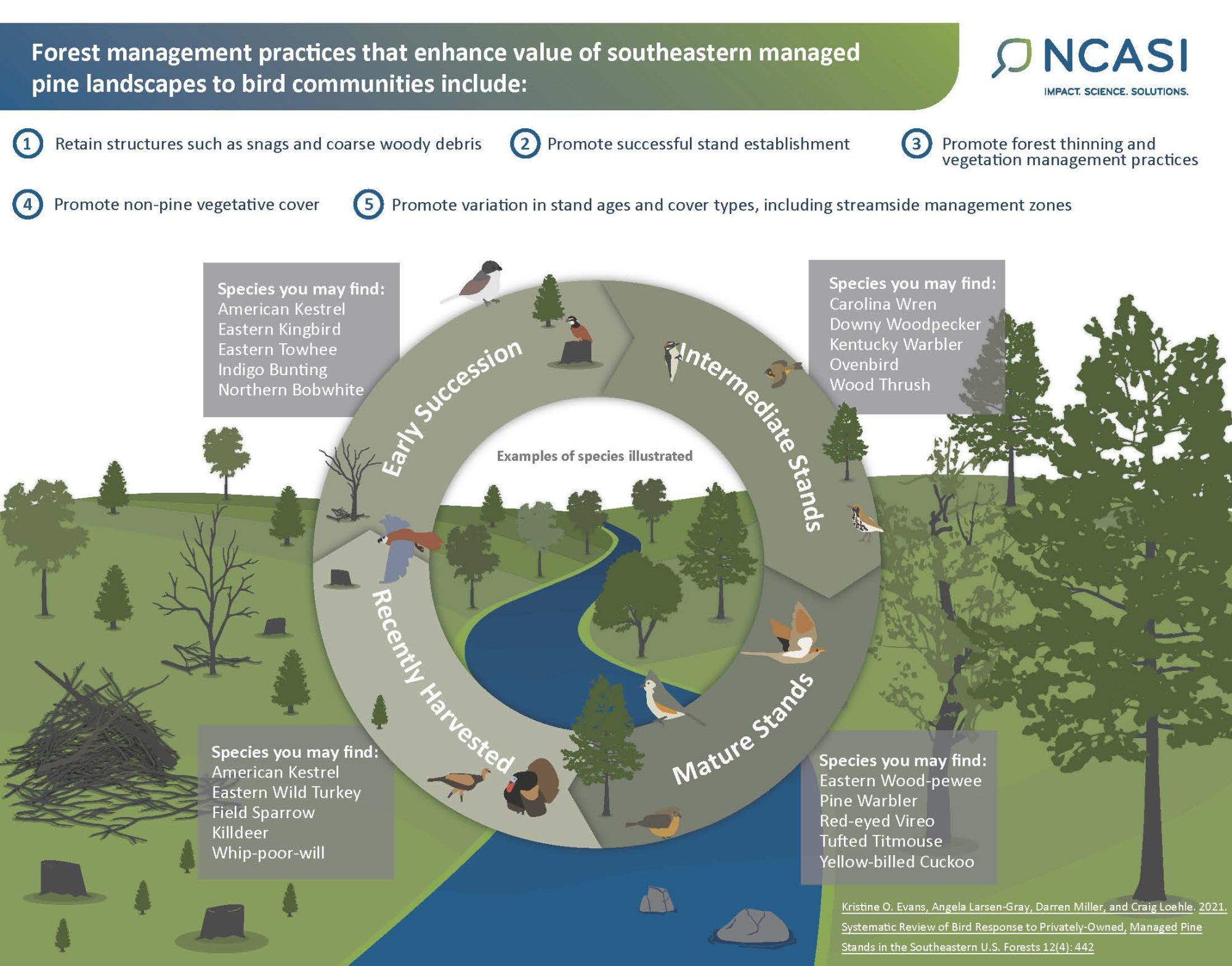 Infographic of forest management practices that enhance the value of southeastern managed pine landscapes to bird communities