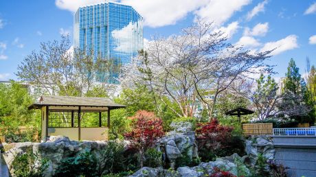 Photo of the garden at the Grand Hyatt Atlanta